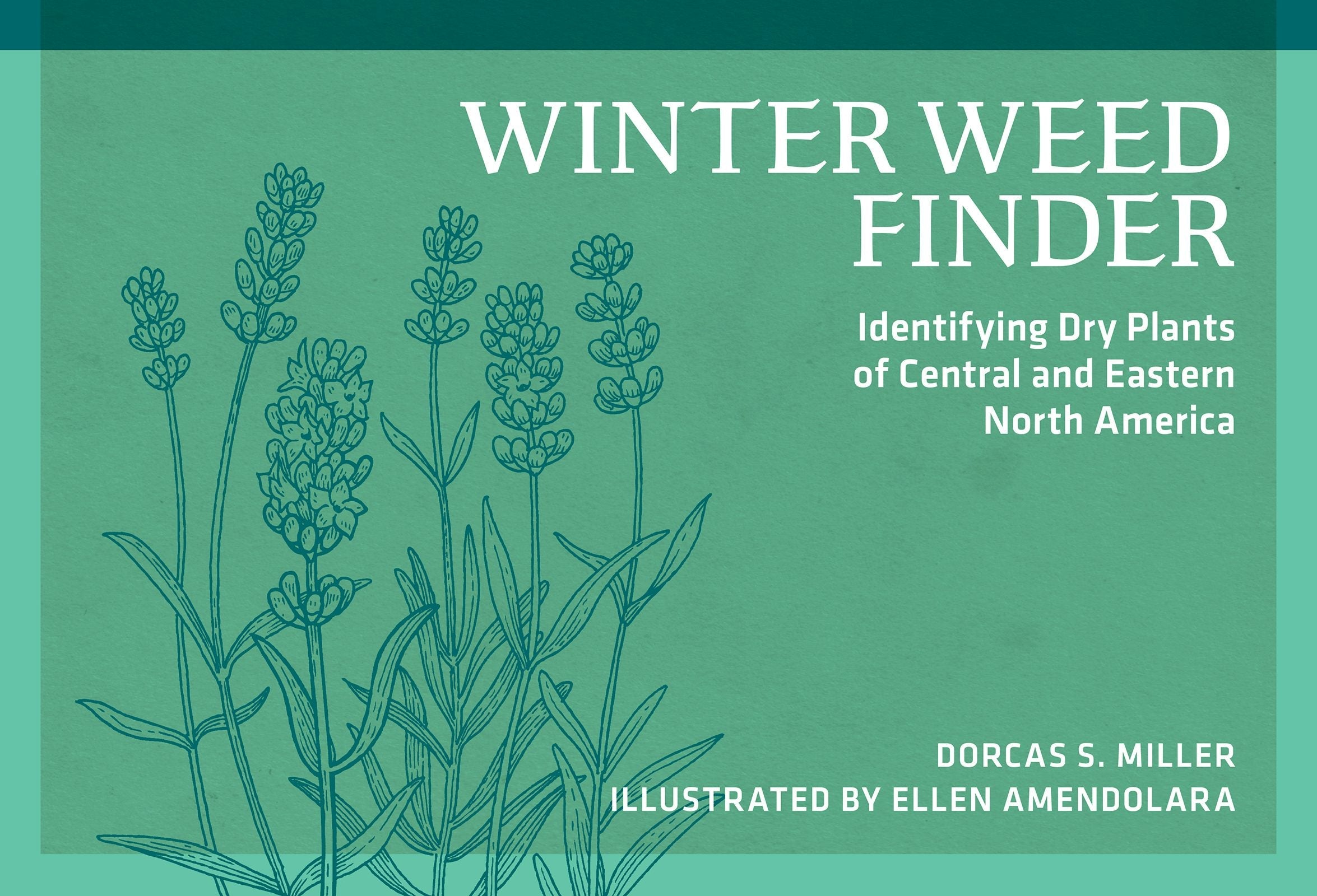 Book cover image for Winter Weed Finder ISBN: 9780912550534
